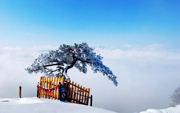 【冬日“秦”景美如画】开启“赏冬季” 华山冬景美如画