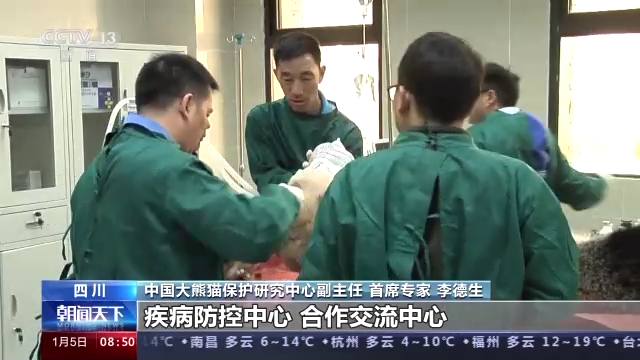 中国大熊猫保护研究中心：为大熊猫国家公园建设提供科技支撑