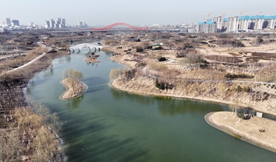 水鸟嬉戏 “诗意”生活_fororder_微信图片_20230202084618