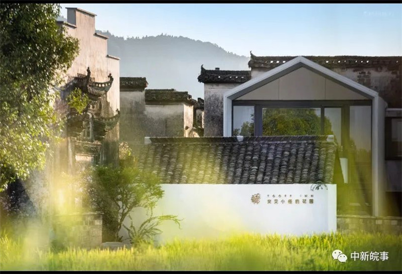 【我在黟县开民宿】交叉小径的花园：与五位文学大师跨时空相遇