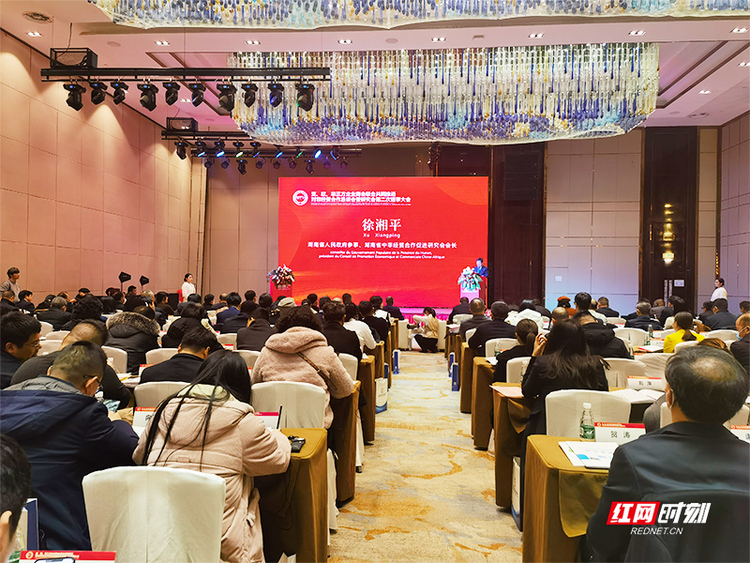 谈项目谈发展，亚欧非三方企业商会齐聚长沙共享中非合作商机
