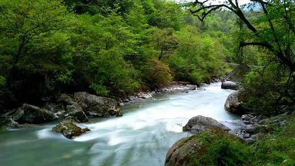 春天来了 来雅安喇叭河开启一趟洗肺之旅_fororder_喇叭河美景-供图-天全县委宣传部（4）