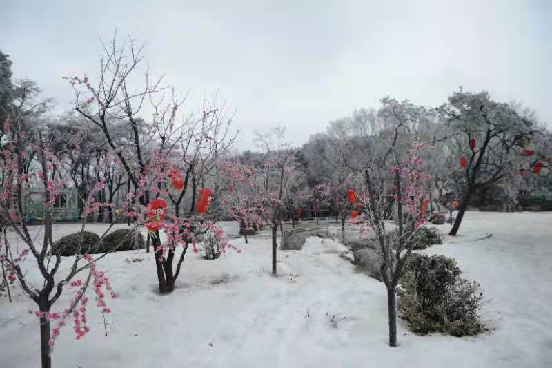 【原创】济南市跑马岭景区雾凇沆砀，冰花弥漫_fororder_7