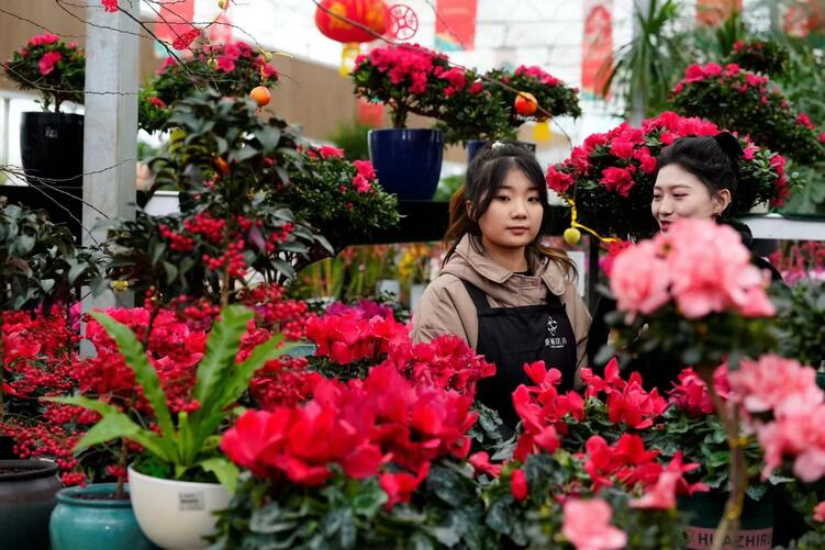 春节近郊游的宝藏目的地 湖南湘江新区“花YOUNG莲花”新春花市等你来_fororder_2