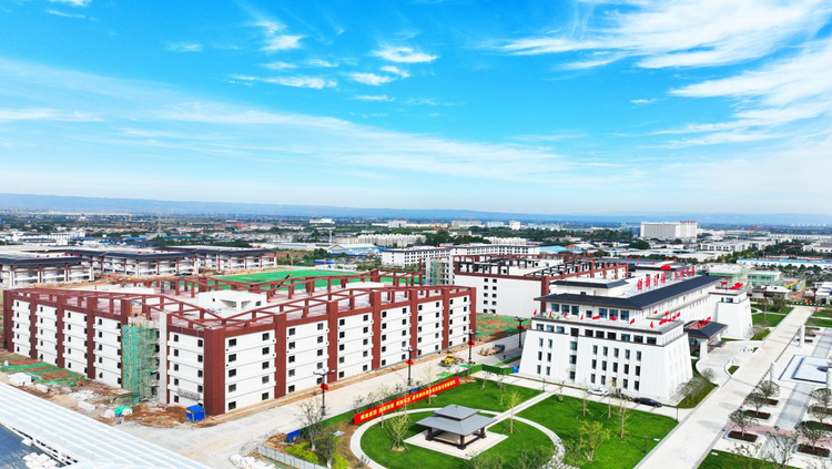 柳林酒高质量发展之路怎么走？_fororder_图片12
