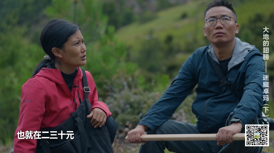 《大地的翅膀》第二集:迷藏卓玛
