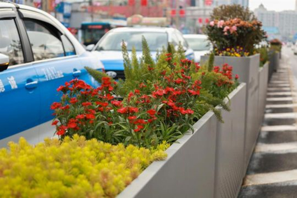 德阳：街头“年味儿”超浓 旌城春节“氛围组”来啦_fororder_QQ图片20230117092836