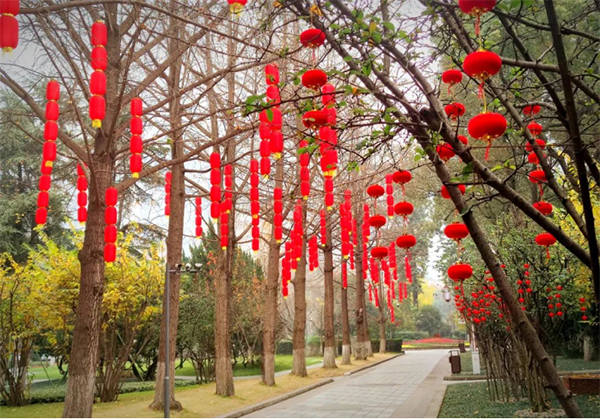 春节近 成都各大公园年味浓_fororder_未标题-5