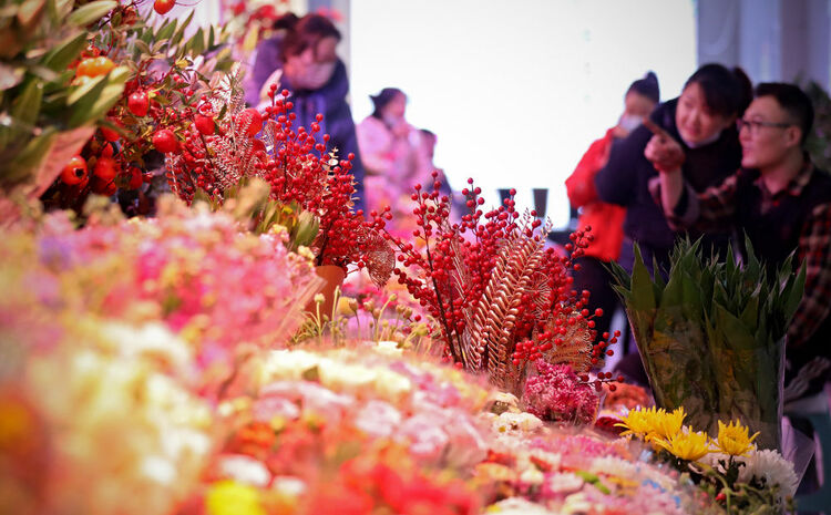 辽宁“花潮”涌动年味浓 姹紫嫣红喜迎春