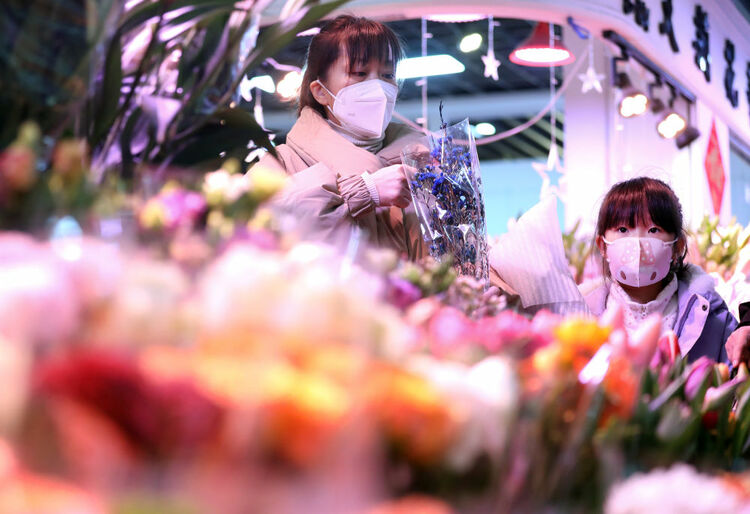 辽宁“花潮”涌动年味浓 姹紫嫣红喜迎春