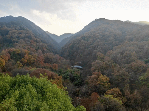 西安曲江新区：躲避人潮，解锁过年吃喝玩乐新去处