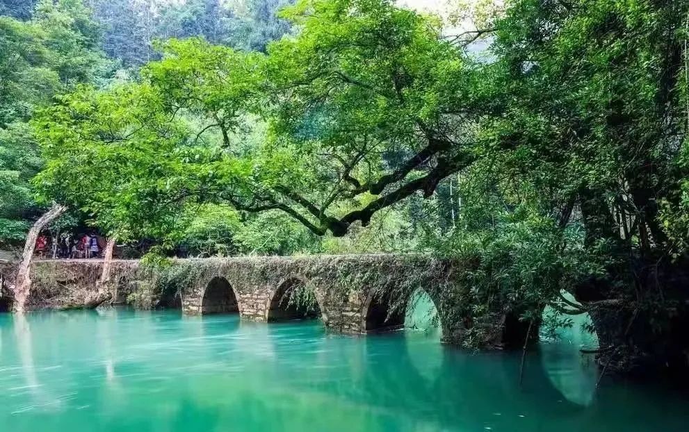 荔波小七孔景区推动文旅融合发展 自然风光与民族文化美美与共