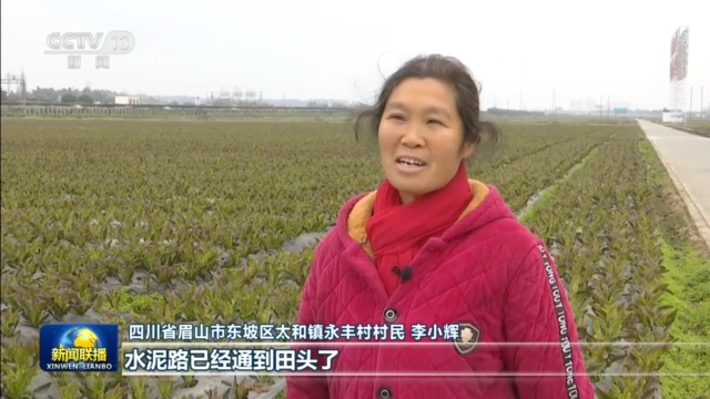 新思想引领新征程丨全方位夯实粮食安全根基