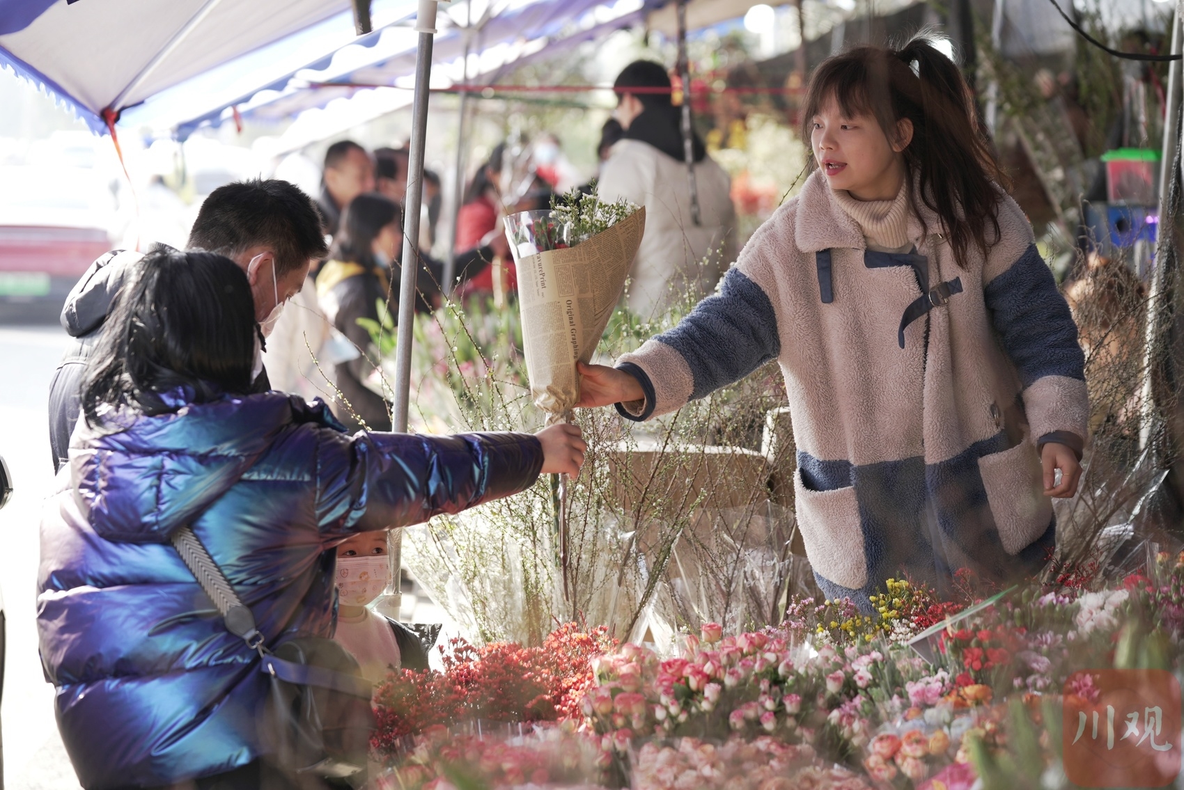（转载）百花争艳闹新春 把不远的春天带回家