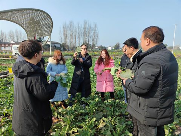 新春走基层 | 德阳旌阳：农技专家田间地头“把脉问诊” 蓄力农业生产“开门红”_fororder_QQ图片20230130114533