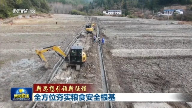 新思想引领新征程丨全方位夯实粮食安全根基