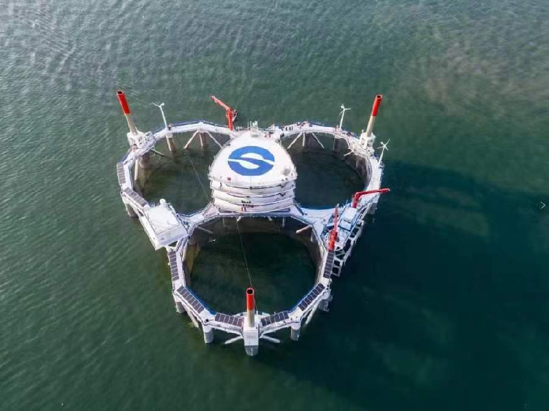 В Яньтае появились 3 новые демонстрационные зоны морского пастбища провинциального уровня_fororder_图片1