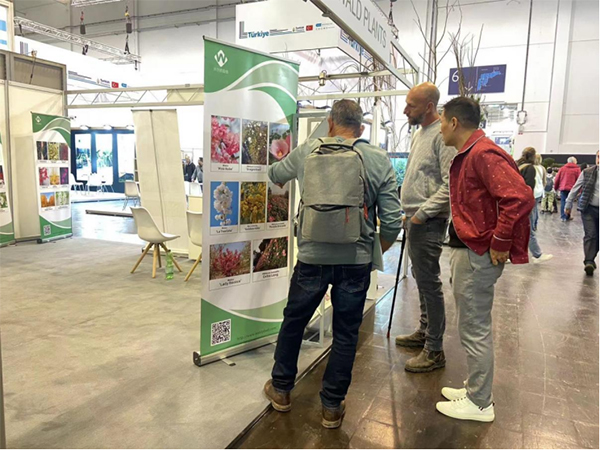 成都市植物园3个芙蓉新品种亮相德国埃森国际花卉园艺展览会_fororder_未标题-1