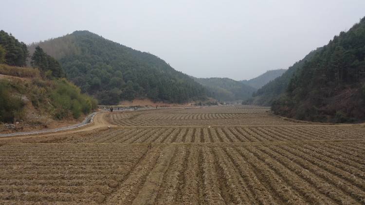 湖南嘉禾：高标准农田建设助力农业增产增收_fororder_1