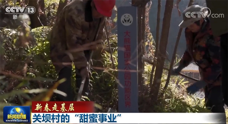 【新春走基层】关坝村的“甜蜜事业”
