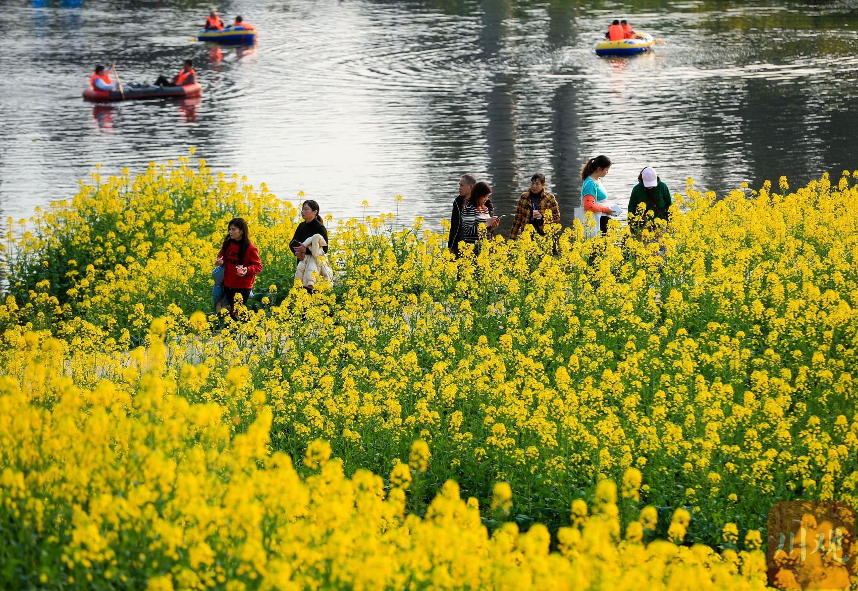 （转载）四川宜宾：赏花踏青享春光