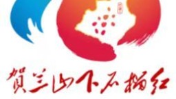 石嘴山市发布铸牢中华民族共同体意识示范市品牌标识