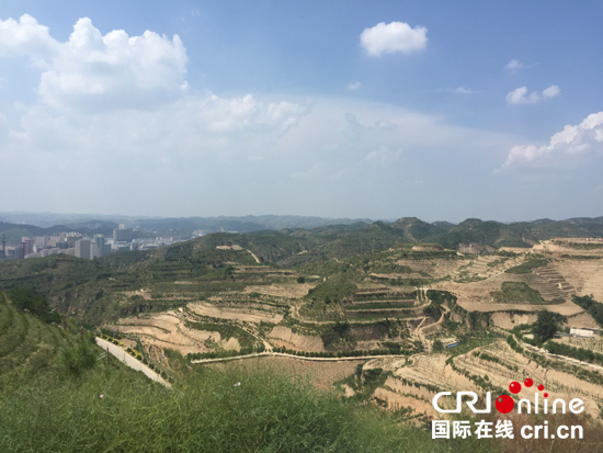 图片默认标题