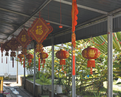 身在海外 同庆新春_fororder_2
