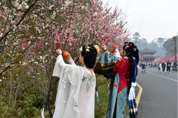 乐山：越罗衫袂迎春风 元宵游园赏花红_fororder_未标题-5