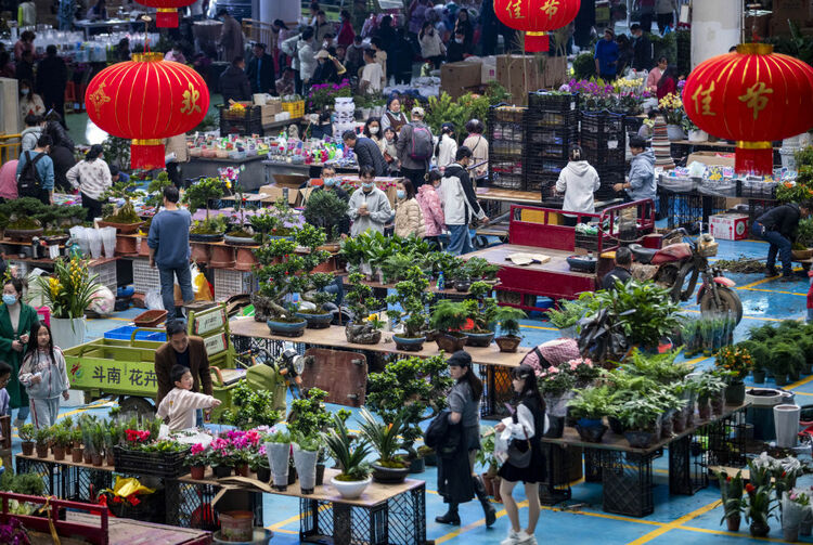 财经聚焦丨春节后多地文旅市场持续升温