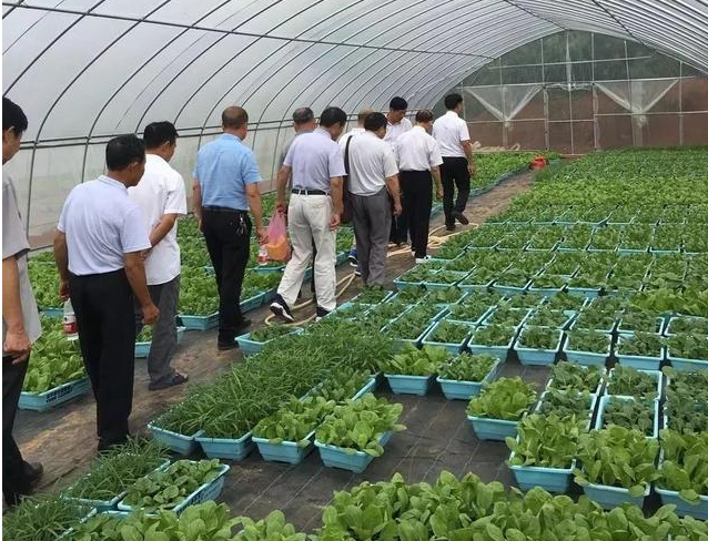 江西都昌县：离退休干部“三当”助力乡村振兴