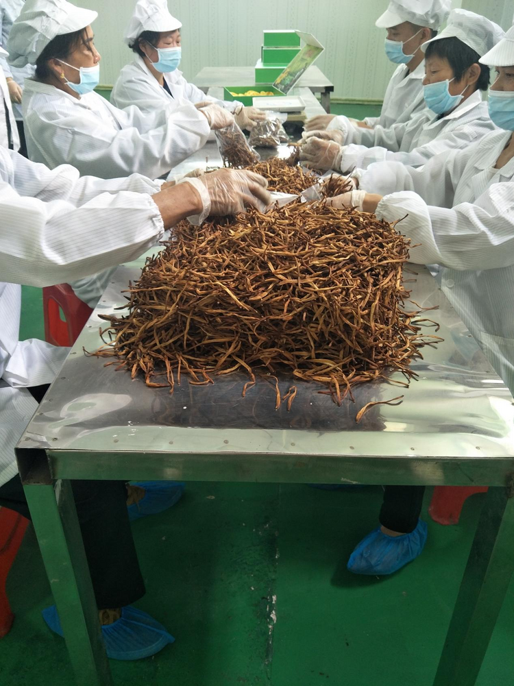 黄花菜、生猪畅销海内外 湖南衡阳农产品走出“国际范儿”_fororder_图片1