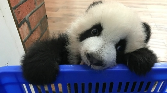 （转载）