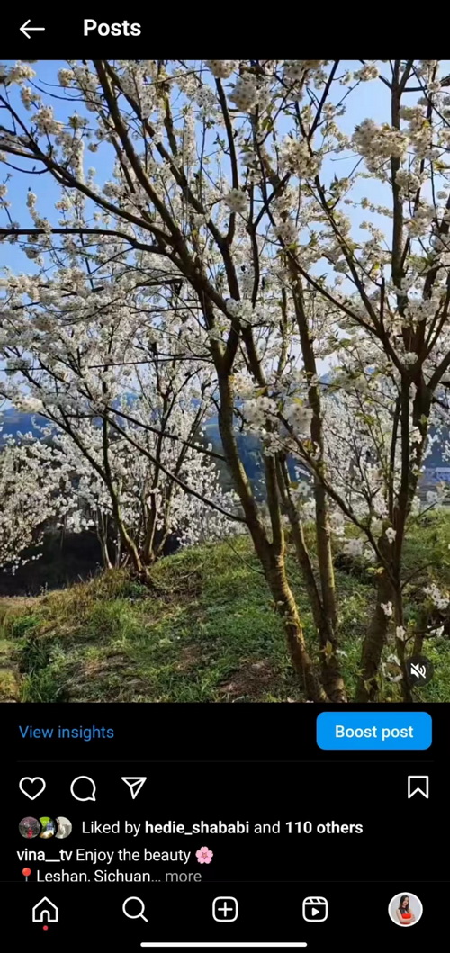 你好犍为·春天YOU我｜打卡浪漫樱桃花海 丝路青年“花式”点赞犍为春日好风光_fororder_微信图片_20230304225940