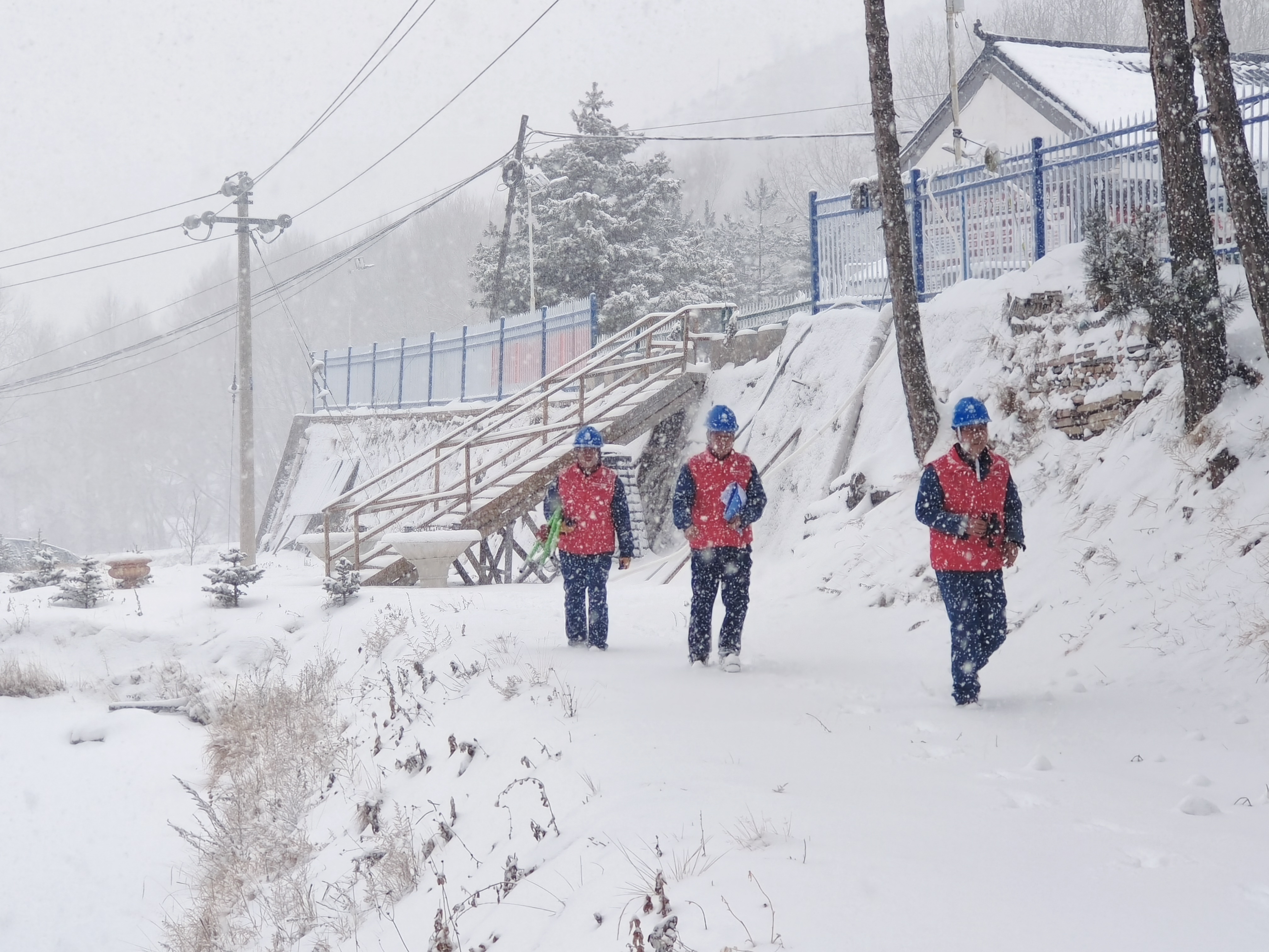 宁夏隆德：浴“雪”保供电 服务“不断线”_fororder_图片45