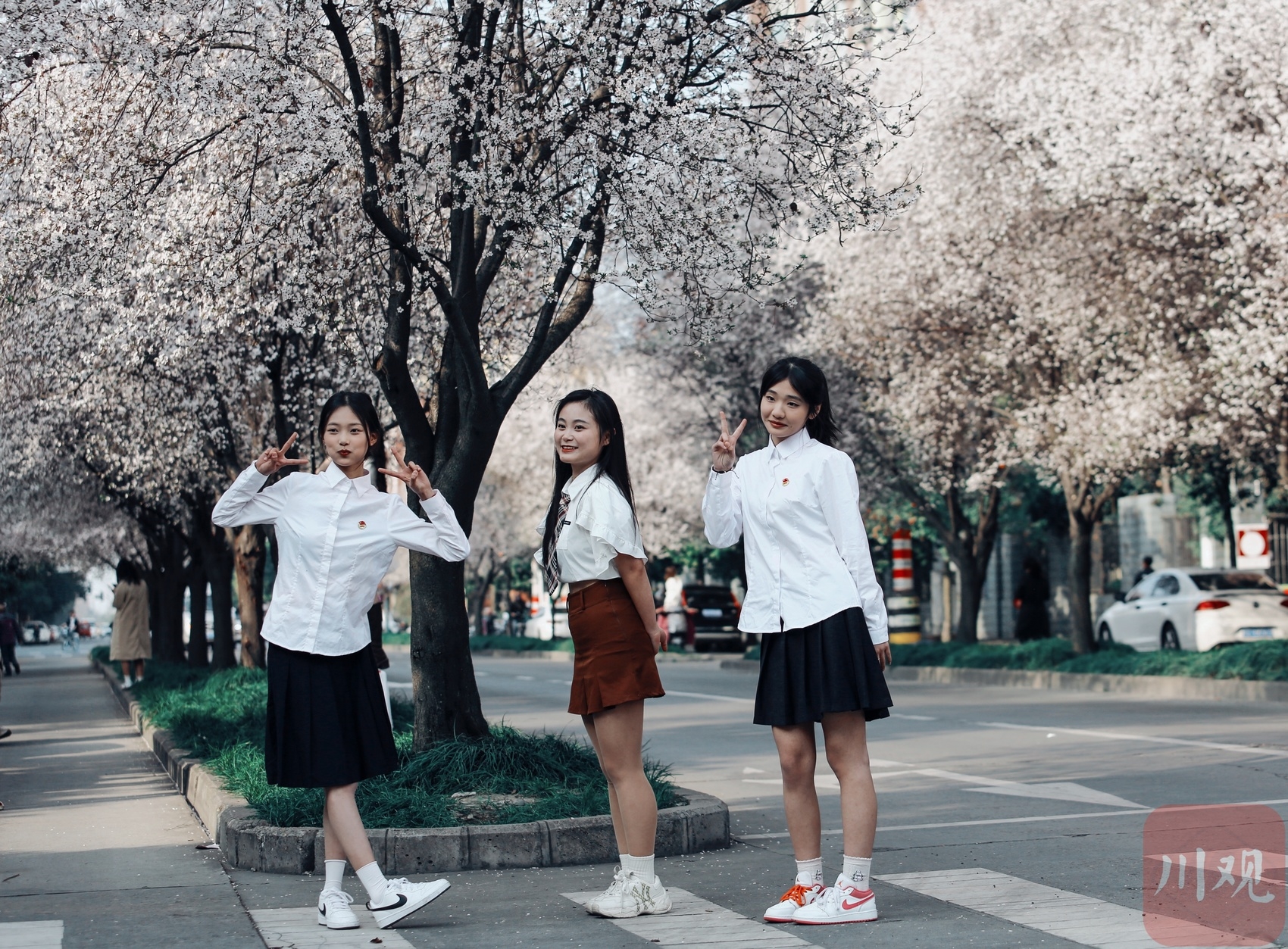 （转载）#你好·春天#春日里的一条“雪花”街