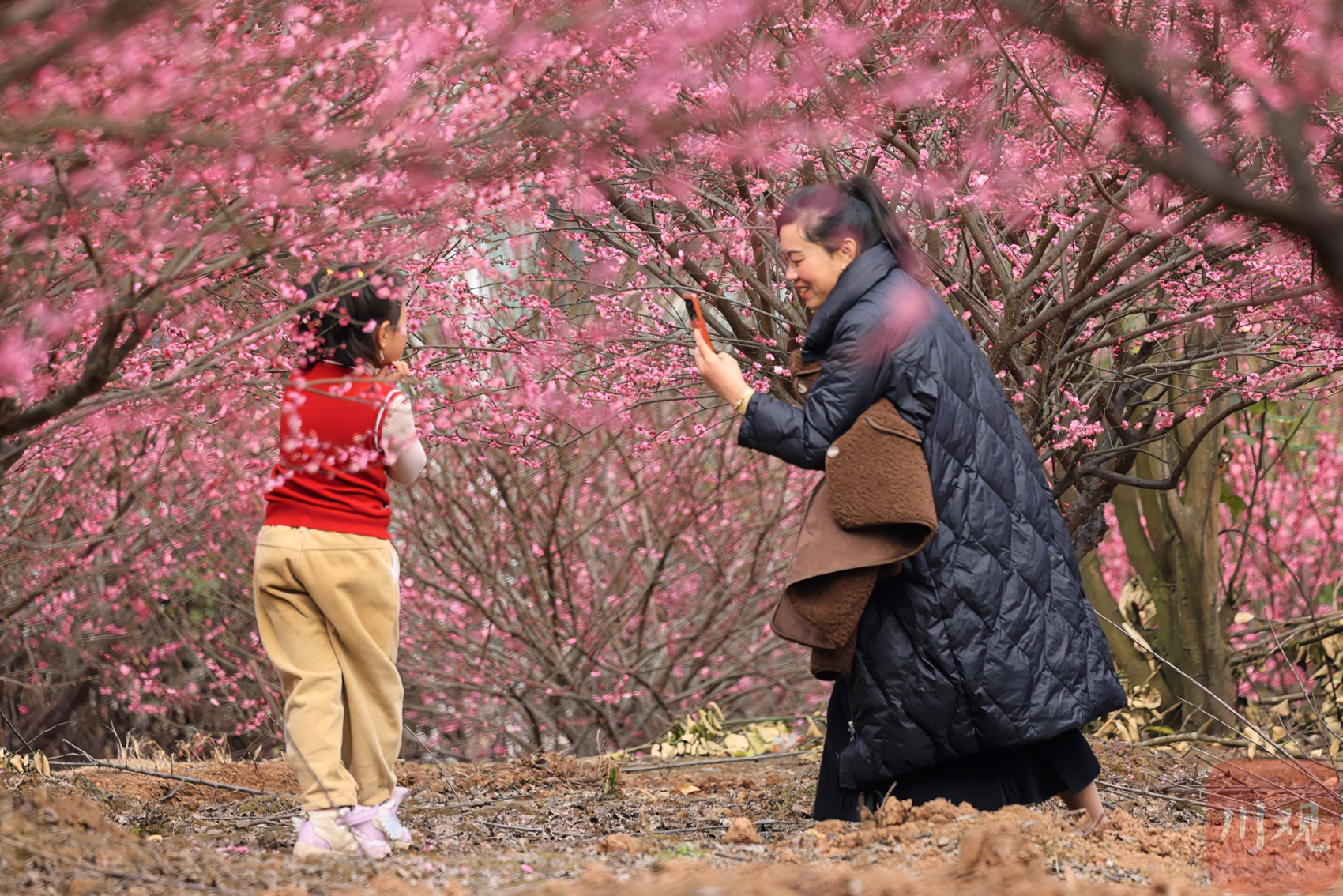 （转载）崇州白塔湖 早春湖畔上“彩妆”