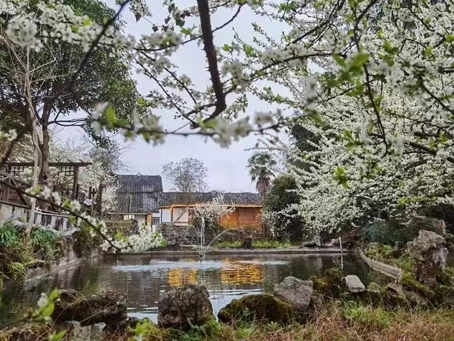 “它是中国农村土地制度改革的贵州故事”！中联部发言人点赞黔地这个村