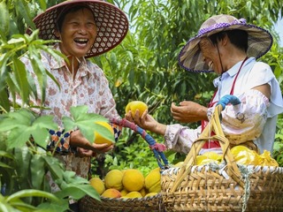 @所有人，中国农民丰收节来了！