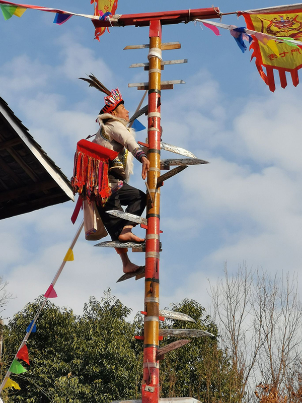 2023“春游绵阳·观花乡野”文旅季暨“来秘境平武·逛熊猫家园”系列体验活动正式启动_fororder_QQ图片20230215105659