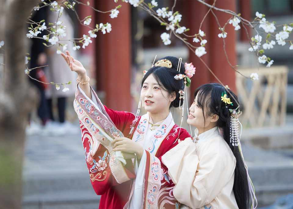 山东济南：五龙潭樱花烂漫迷人