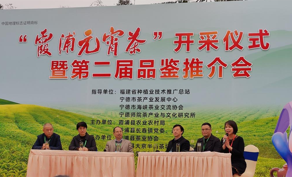 宁德举办第二届“霞浦元宵茶”品鉴推介会_fororder_图片18