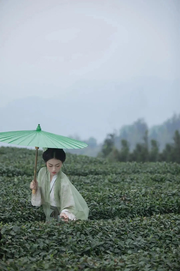 组图｜雅安名山：我与春天有个约会_fororder_蒙顶山凌云台茶园-供图-名山区委宣传部（1）
