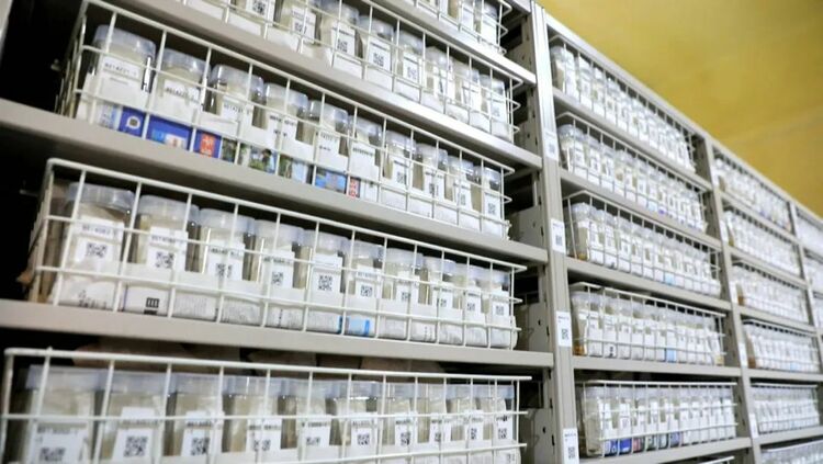 山东：深入实施良种工程 提升种业企业创新能力