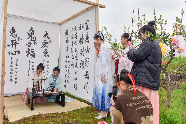 湖南衡阳：万树梨花雪 醉美茶山坳_fororder_图片5