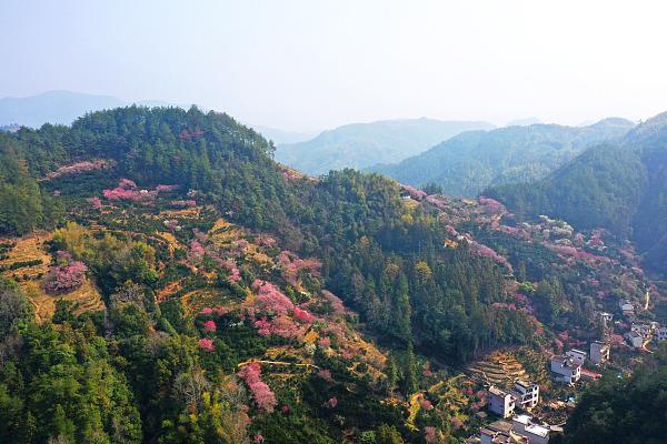 生机勃勃的春之旅从这里开始