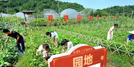 上饶市广丰区东阳乡：大抓基层强治理 奏响和美乡村“三部曲”