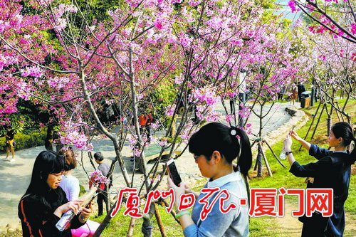【福建时间 主推】【滚动新闻】【地市 厦门】厦门创建国家生态园林城市 不断增进百姓绿色福祉