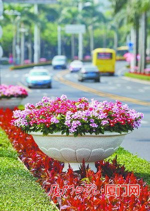 【福建时间 主推】【滚动新闻】【地市 厦门】厦门创建国家生态园林城市 不断增进百姓绿色福祉