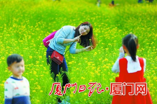 【福建时间 主推】【滚动新闻】【地市 厦门】厦门创建国家生态园林城市 不断增进百姓绿色福祉